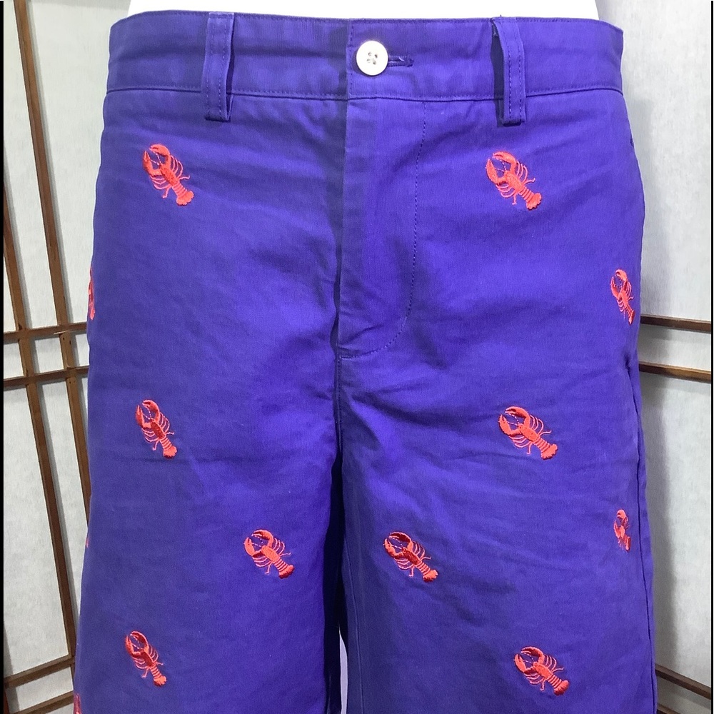 Vineyard Vines Youth Boys Dress Shorts Blue Sz 18
